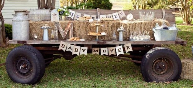Milk and Cookies Gender Reveal Party with Such Cute Ideas via Kara's Party Ideas Kara Allen KarasPartyIdeas.com #RusticParty #GenderReveal #PartyIdeas #Supplies (1)