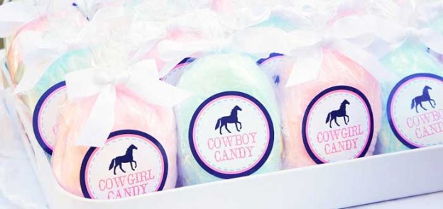 Pony themed birthday party with Such Cute Ideas via Kara's Party Ideas KarasPartyIdeas.com Horse Party, Cowgirl, Cowboy, Desserts and More! #ponyparty #horseparty #cowboyparty #cowgirlparty (2)