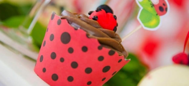 Ladybug themed birthday party via Kara's Party Ideas KarasPartyIdeas.com #ladybugparty #karaspartyideas #ladybugs #eventplanning (1)