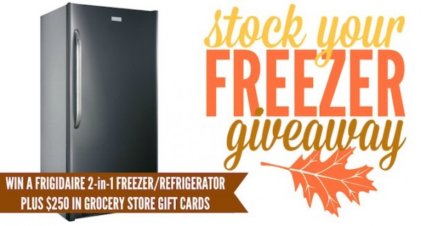 Freezer and Refrigerator giveaway! Plus Groceries! On Kara's Party Ideas KarasPartyIdeas.com