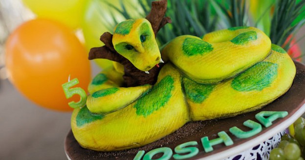 Snake + Reptile Birthday Party via Kara's Party Ideas | The Place for All Things Party! KarasPartyIdeas.com (1)