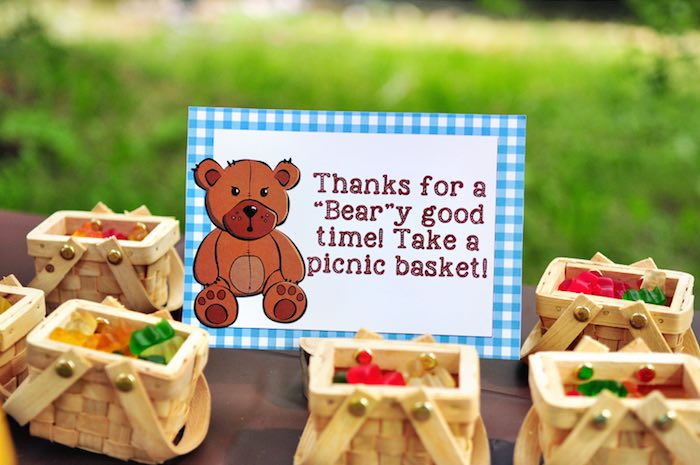 Kara's Party Ideas Teddy Bear Picnic Party | Kara's Party Ideas