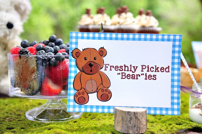 Kara's Party Ideas Teddy Bear Picnic Party | Kara's Party Ideas