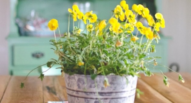 Floral Arrangement from a Pioneer Woman (Girl) Themed Birthday Party via Kara's Party Ideas | KarasPartyIdeas.com (2)