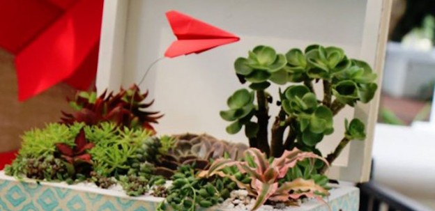 Succulent Arrangement from a Time Flies 1st Birthday Party via Kara's Party Ideas! KarasPartyIdeas.com
