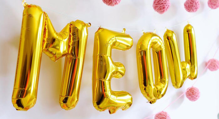 Foil Letter "Meow" Banner from a Kitten Party via Kara's Party Ideas | KarasPartyIdeas.com | The Place for All Things Party! (2)