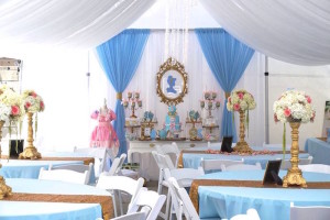 Kara's Party Ideas Fairy Godmother Cinderella Birthday | Kara's Party Ideas