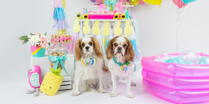 Tropical Pool Party for Puppies on Kara's Party Ideas | KarasPartyIdeas.com (4)