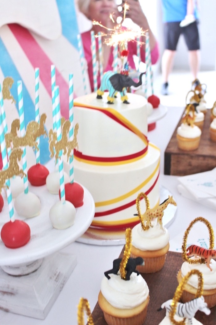 Sparkler lit cake from a Big Top Circus Themed Birthday Party on Kara's Party Ideas | KarasPartyIdeas.com (33)