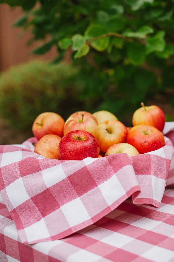 Apples from a "Little Pumpkin" Fall Picnic Birthday Party on Kara's Party Ideas | KarasPartyIdeas.com (18)
