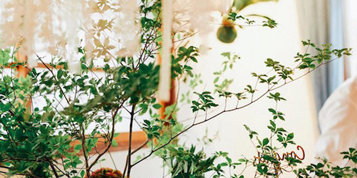 Greenhouse Themed Japanese Reception Party on Kara's Party Ideas | KarasPartyIdeas.com (1)
