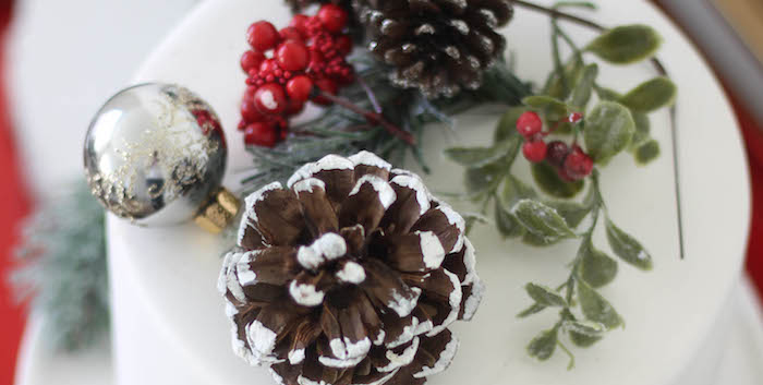 Holly & Ivy Holiday Dinner Party on Kara's Party Ideas | KarasPartyIdeas.com (2)
