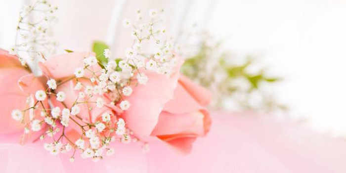 Elegant Ballerina Birthday Party on Kara's Party Ideas | KarasPartyIdeas.com (3)
