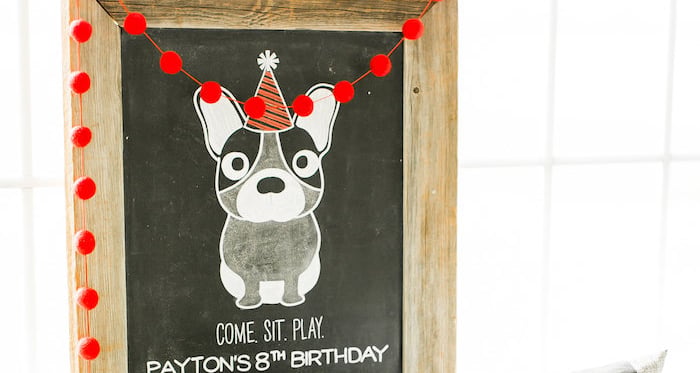 Pet Adoption Birthday Party on Kara's Party Ideas | KarasPartyIdeas.com (1)