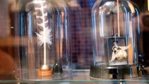Kara's Party Ideas Harry Potter Daily Prophet Birthday Party | Kara's ...