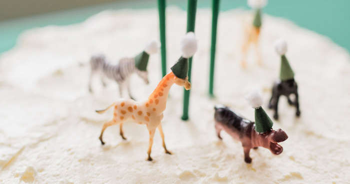 Wild Kratts Animal Birthday Party on Kara's Party Ideas | KarasPartyIdeas.com (1)