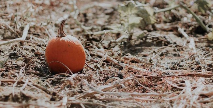 Fall + Halloween Birthday Party on Kara's Party Ideas | KarasPartyIdeas.com (3)