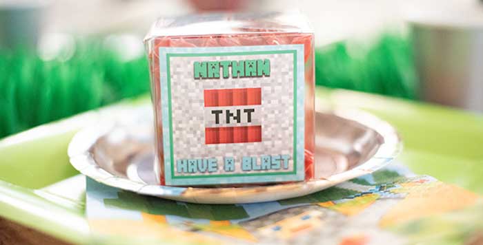 Epic Minecraft Birthday Party on Kara's Party Ideas | KarasPartyIdeas.com (3)