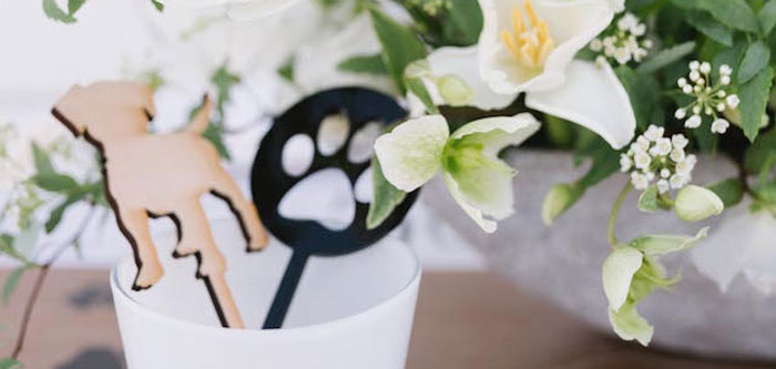 Puppy Party on Kara's Party Ideas | KarasPartyIdeas.com (4)