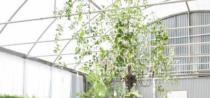 Ethereal Greenhouse Baby Shower on Kara's Party Ideas | KarasPartyIdeas.com (4)
