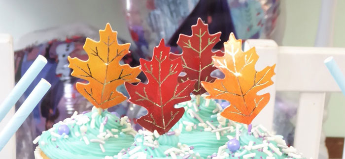 Frozen Themed Hot Chocolate & Dessert Bar on Kara's Party Ideas | KarasPartyIdeas.com (3)