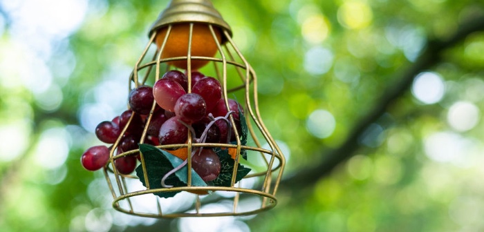 Boho Woodland 30th Birthday Fête on Kara's Party Ideas | KarasPartyIdeas.com (2)