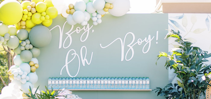 Modern Safari Drive-By Baby Shower on Kara's Party Ideas | KarasPartyIdeas.com (1)
