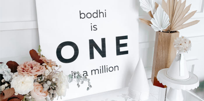 "You're ONE in a Million" 1st Birthday Party on Kara's Party Ideas | KarasPartyIdeas.com