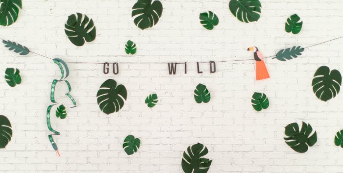 Young Wild and Three on Kara's Party Ideas | KarasPartyIdeas.com