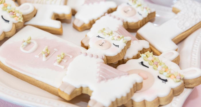 Girly Llama Party on Kara's Party Ideas | KarasPartyIdeas.coms.com