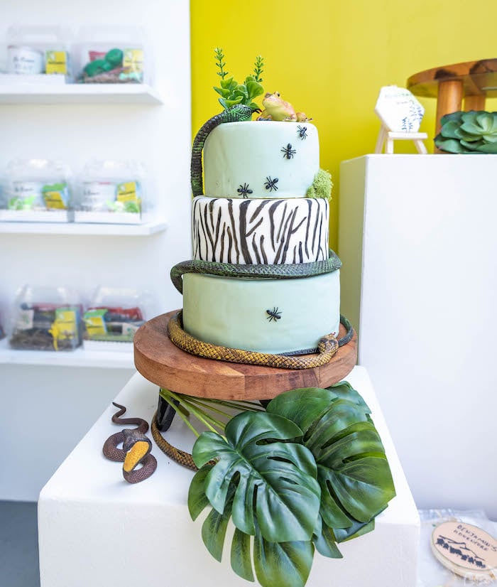 Wilderness Cake from a Brave Wilderness Birthday Party on Kara's Party Ideas | KarasPartyIdeas.com