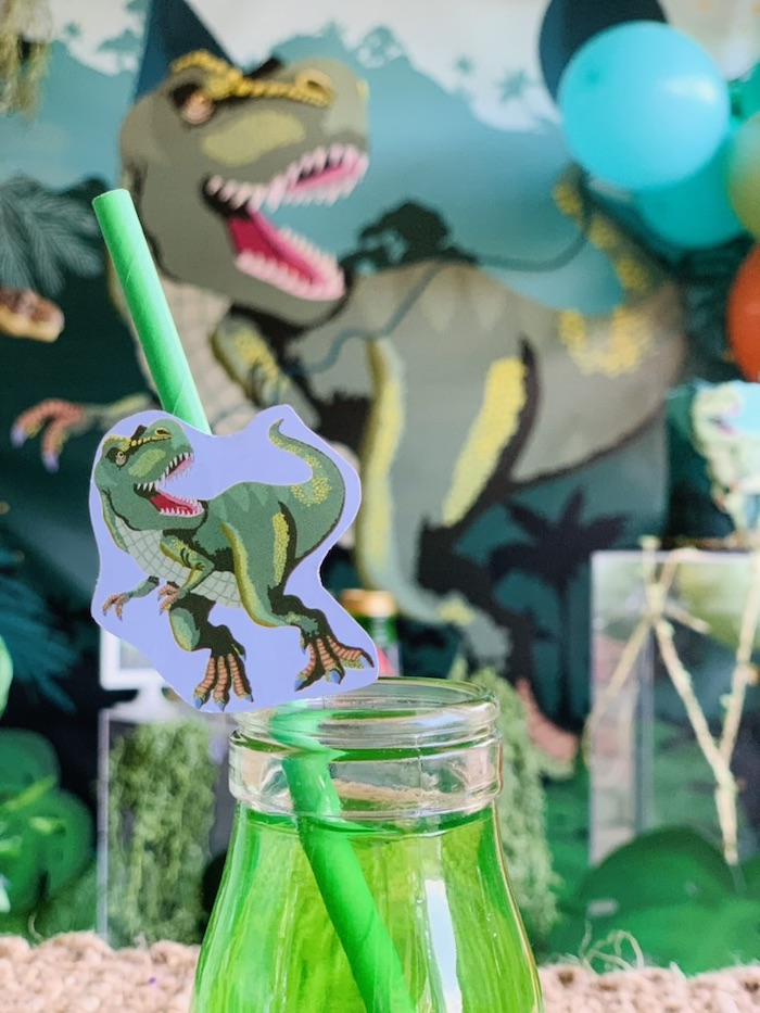 Rawrsome Dinosaur Party on Kara's Party Ideas | KarasPartyIdeas.com