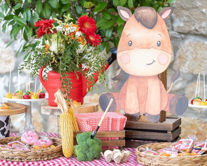 Farm birthday party setup with barnyard decorations and table details