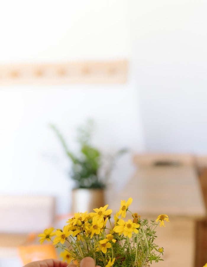 Close-up of bright yellow daisy blooms for the picnic tablescape
