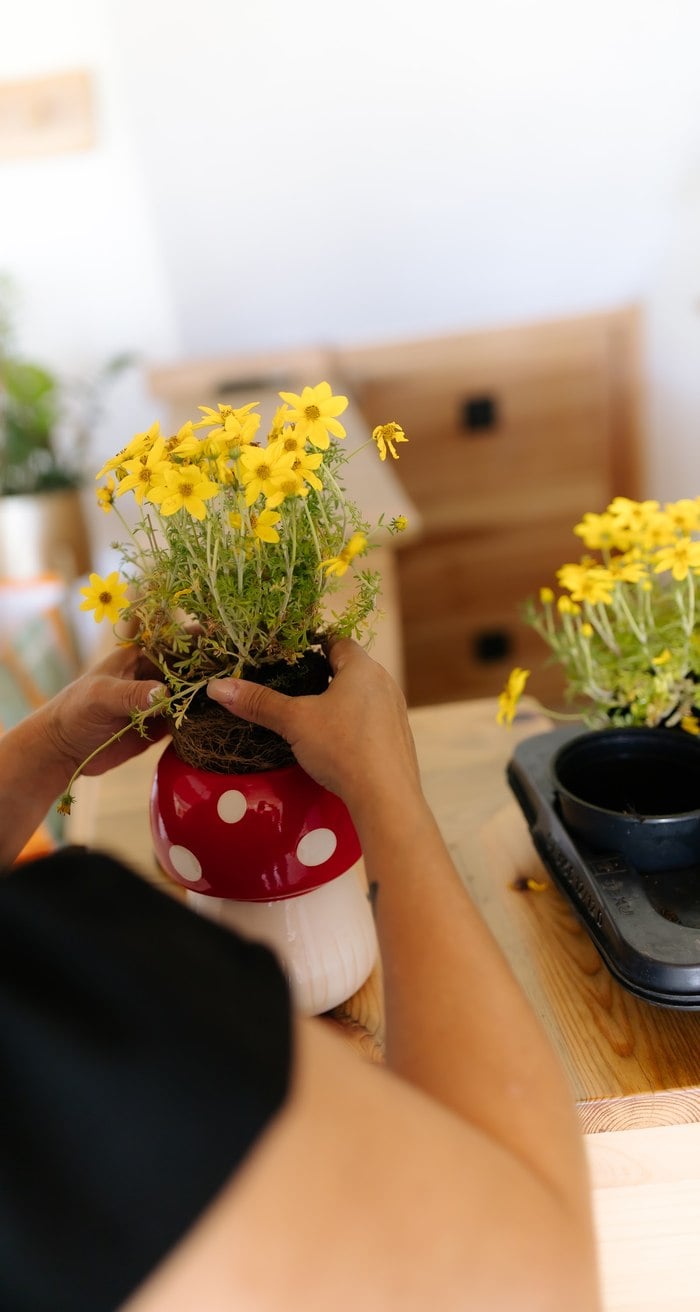 Mushroom vase floral arrangement with yellow daisies and natural textures