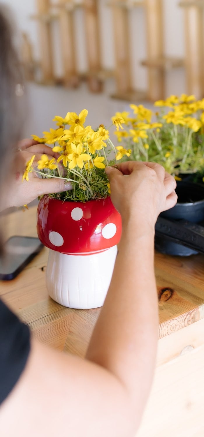 Red mushroom vase paired with natural wood party styling