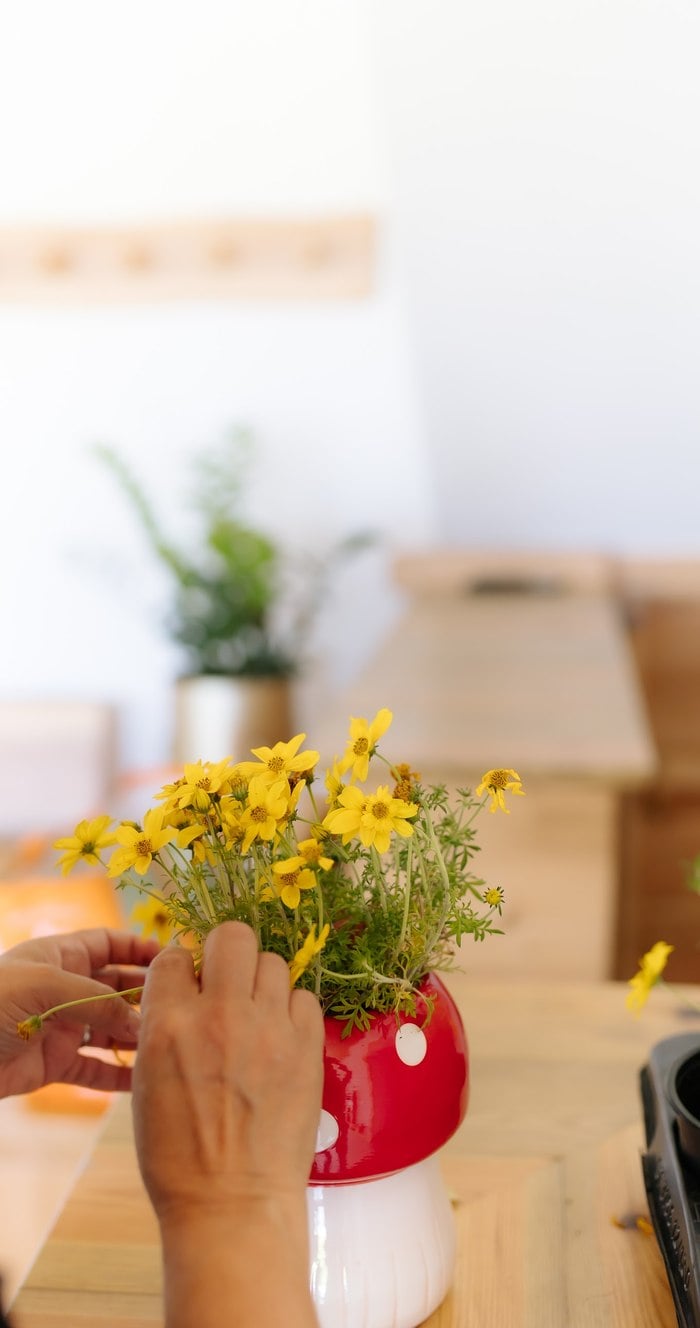 Red mushroom centerpiece filled with yellow daisies