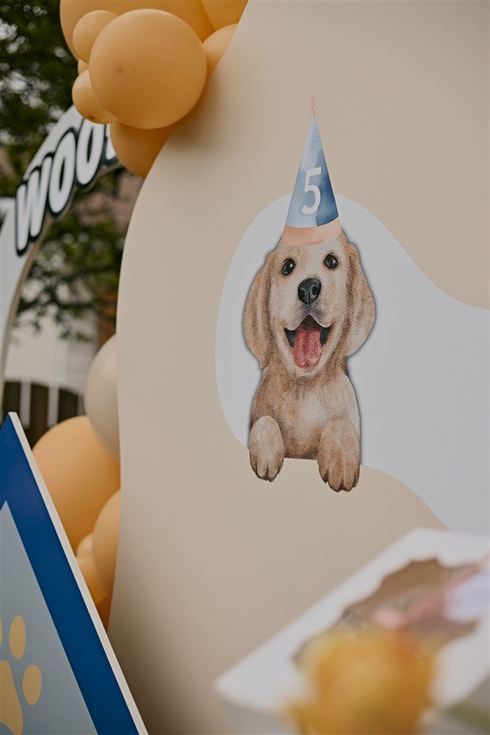 Golden retriever wearing a party hat on the puppy birthday backdrop