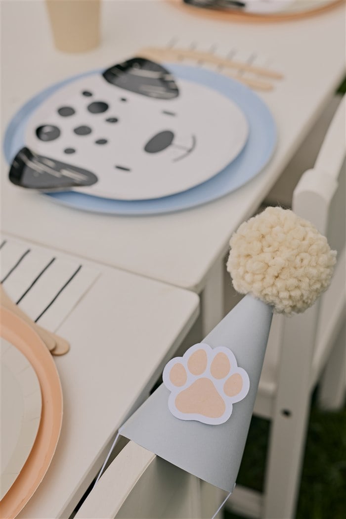 Puppy plate and number five party hat place setting
