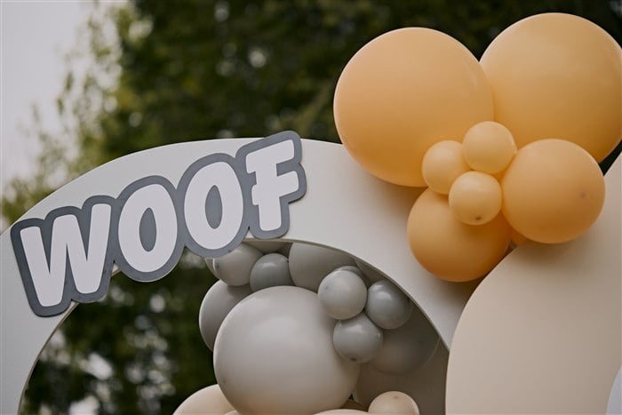 Woof sign and balloon garland above the puppy party backdrop