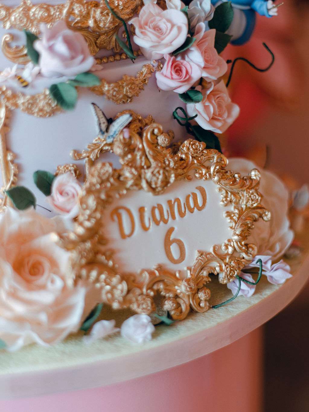 Diana6thBirthday-fujiCamera-240